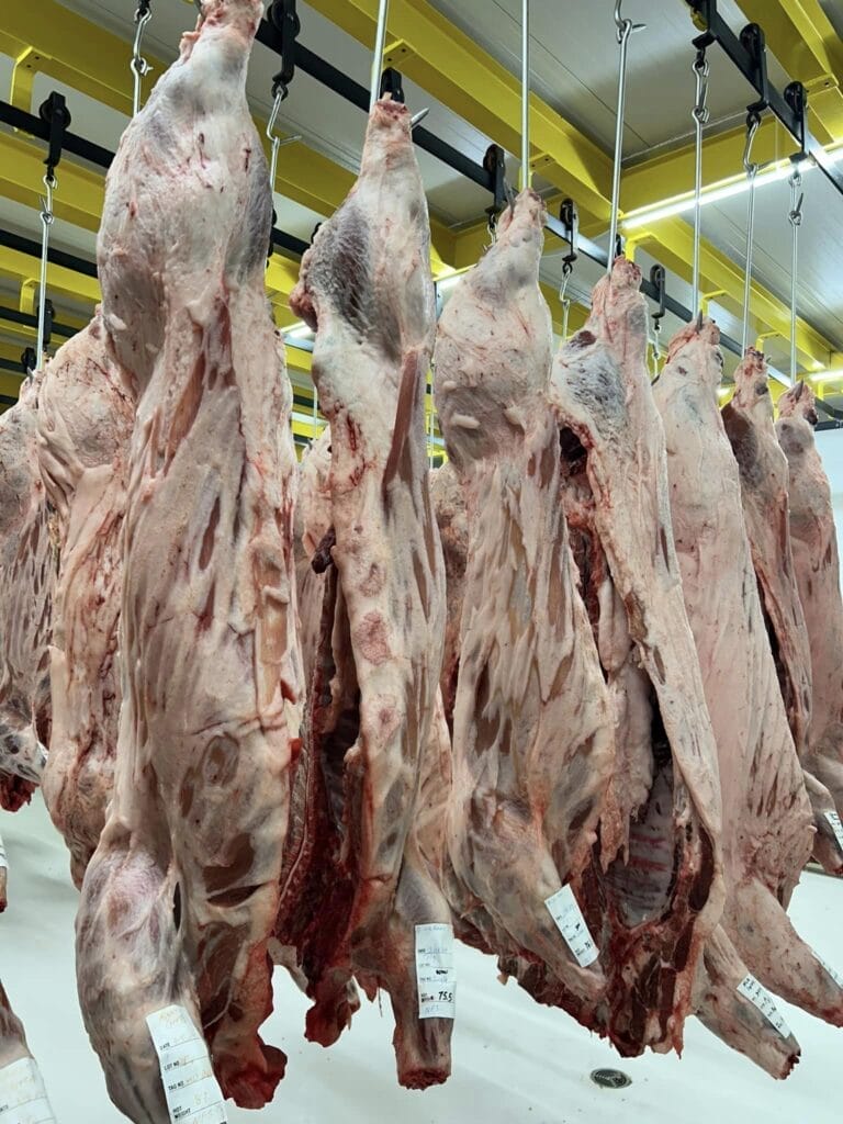 Animal carcases hanging in a refrigerator awaiting their turn in Custom Meat Processing in Oklahoma